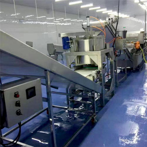 海產品氣泡翻滾式清洗機廠家多重優惠，品質保障，長期有效